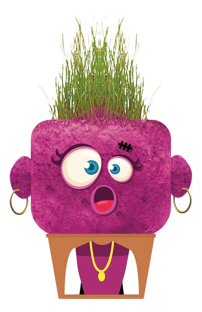 Игровой набор садовод удивленный монстр HAPE, арт. 848101_HP