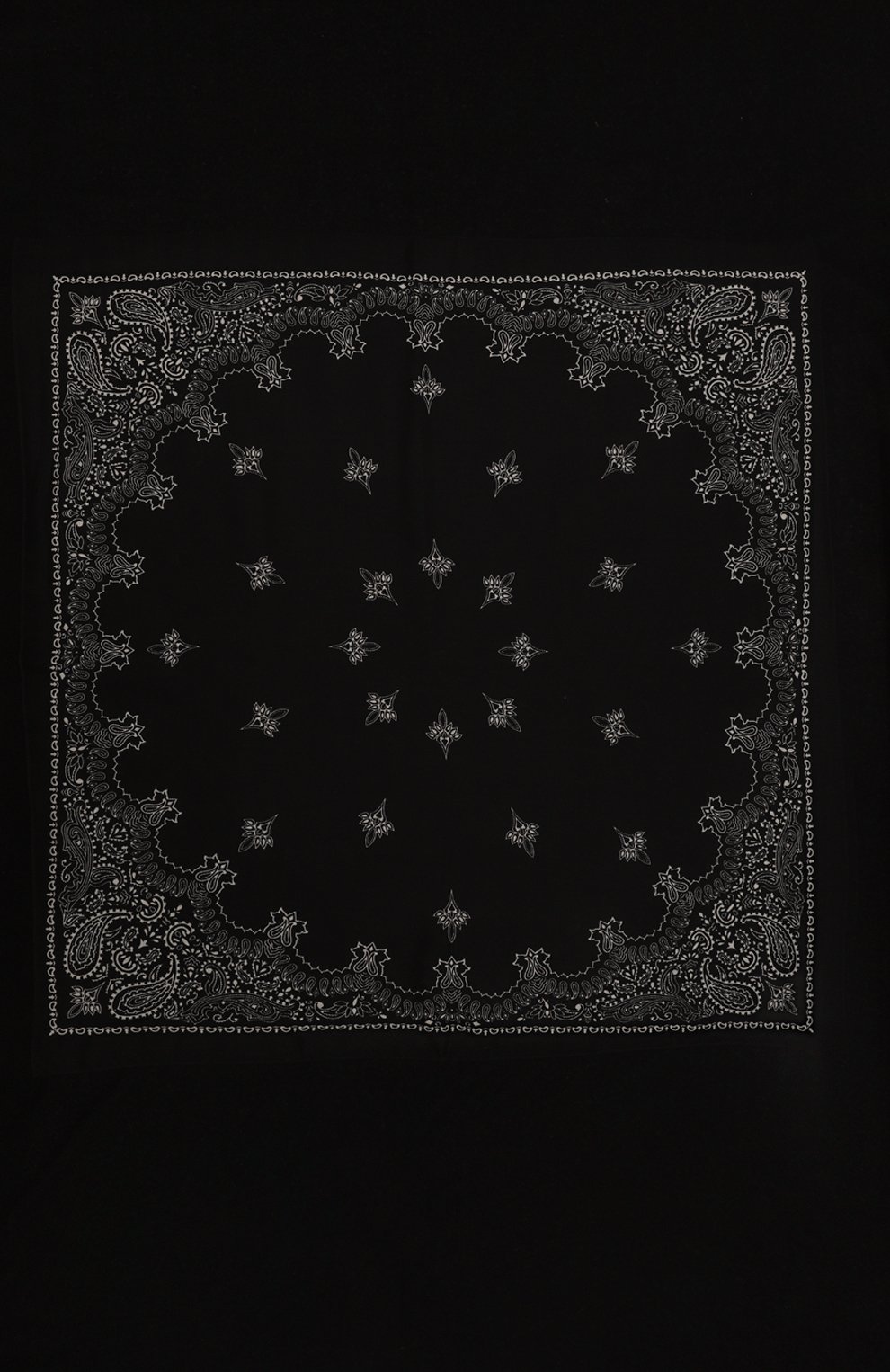 Кашемировый палантин DESTIN, арт. DAW3ISABAND, фото 4