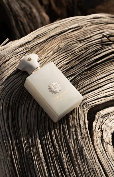 Парфюмерная вода decision (100ml) AMOUAGE, арт. 41118, фото 3