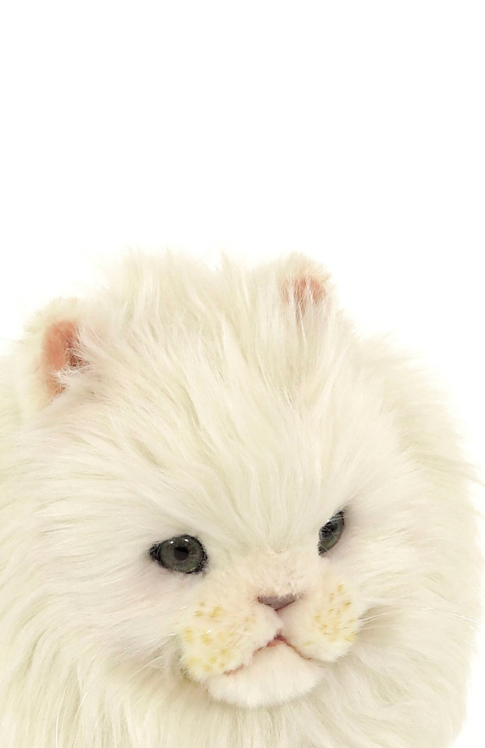 Мягкая игрушка кошка персидская HANSA, арт. 6431, фото 4