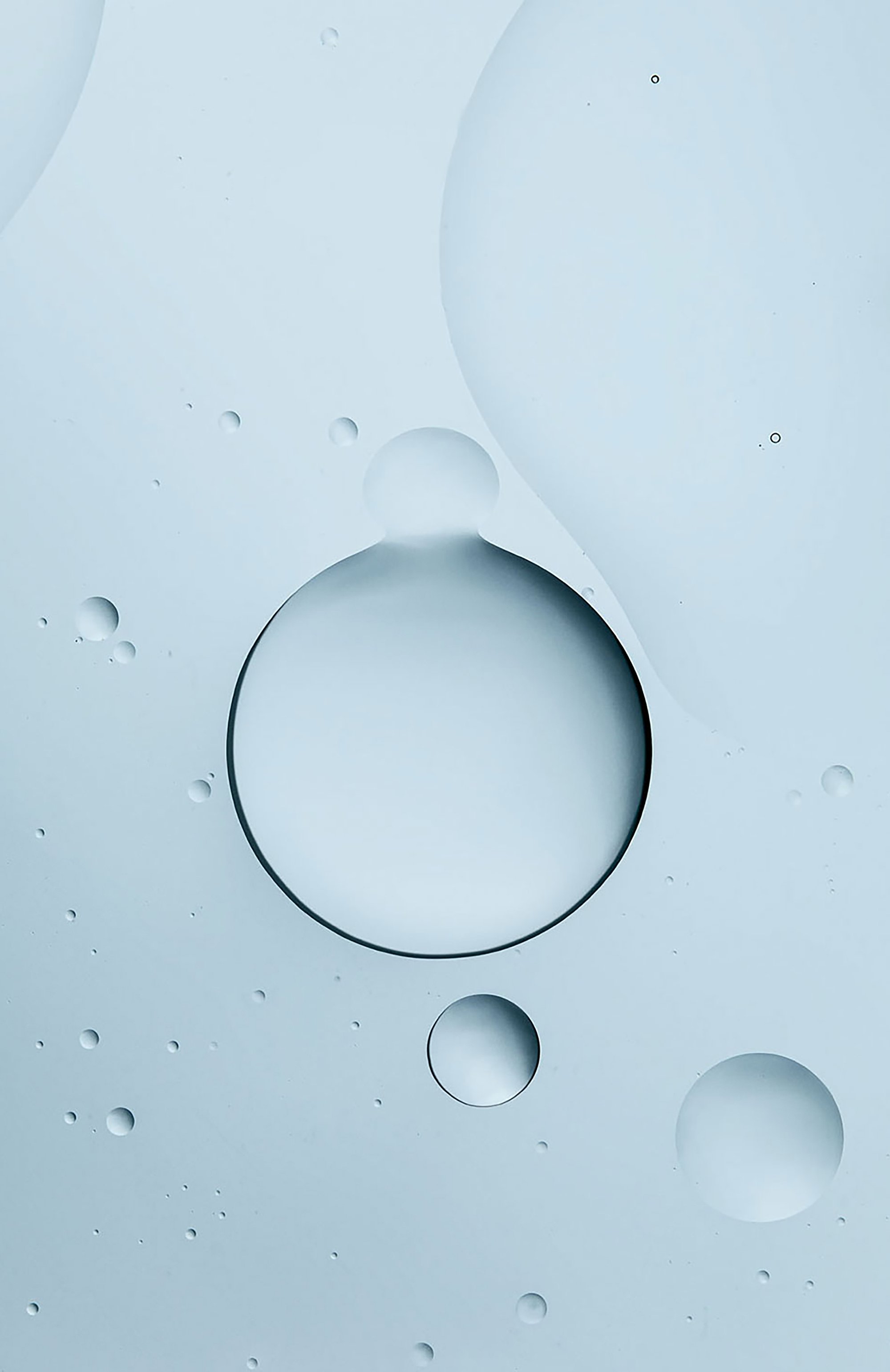 Регенерирующее масло для тела "японская камелия" (100ml) ELEMIS, арт. EL40763, фото 3