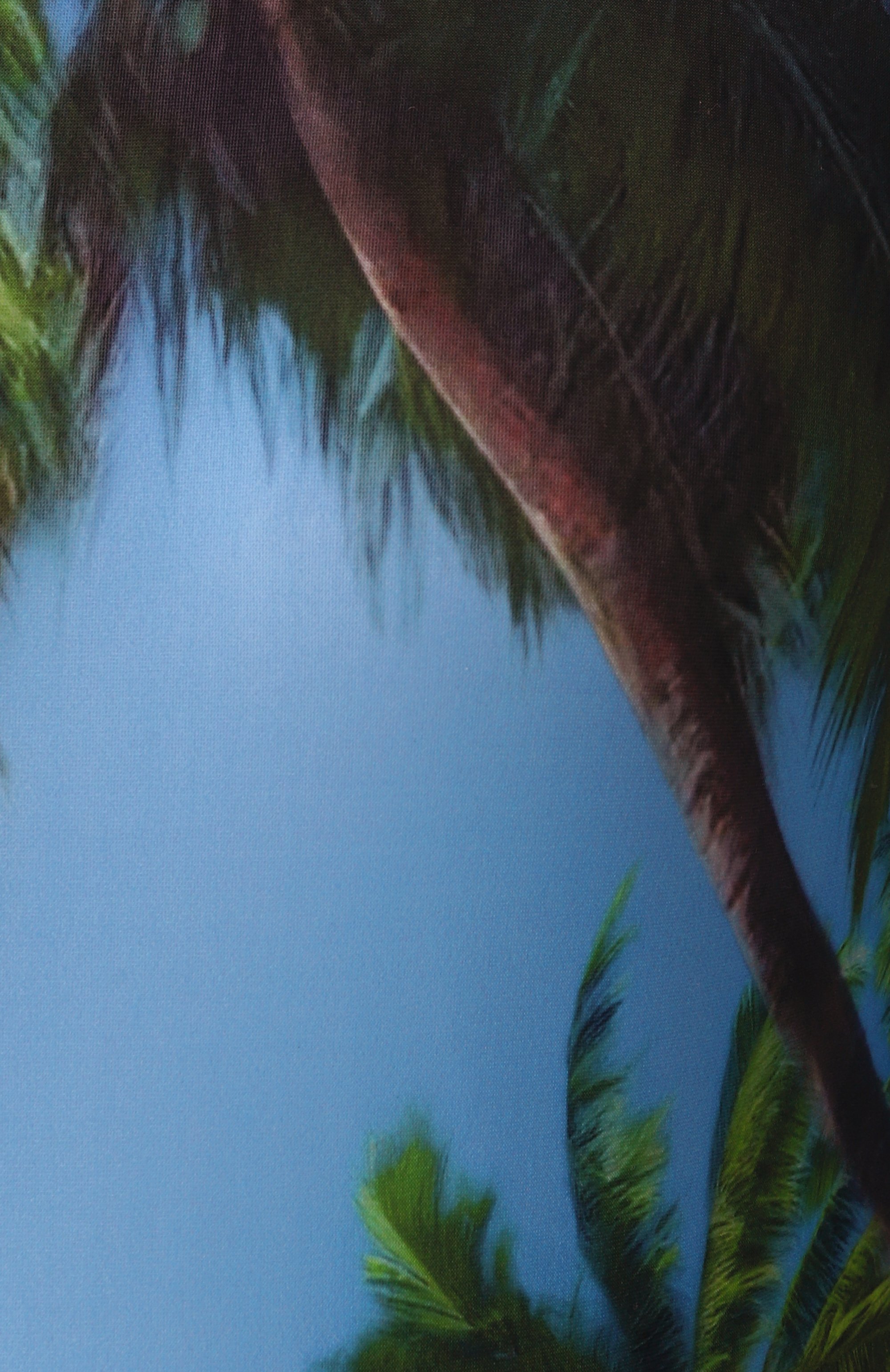 Боди MM6, арт. S52NA0071/M20083, фото 6