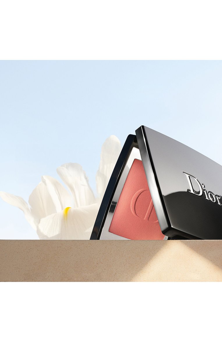 Румяна для лица rouge blush, оттенок 449 танцы (6g) DIOR  цвета, арт. C029500449 | Фот�о 5 (Нос: Не проставлено; Региональные ограничения белый список (Axapta Mercury): Не проставлено)
