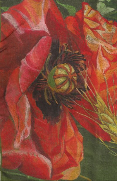 Шелковая шаль маки GOURJI, арт. 91140637/9151108, фото 4