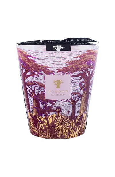 Свеча sacred trees max 16 massasso (1100g) BAOBAB, арт. 5415198517851