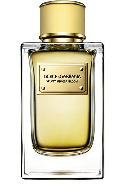 Женский парфюмерная вода velvet collection mimosa (50ml) DOLCE & GABBANA, арт. 737052968148