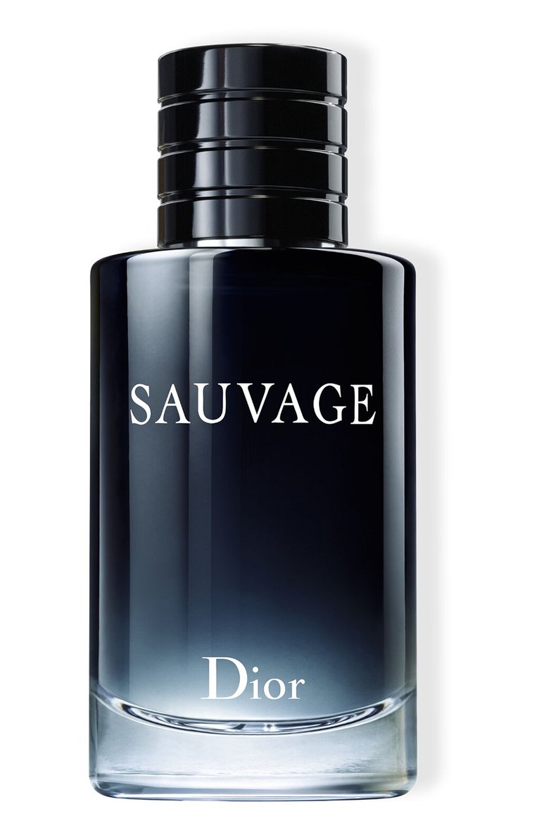 Sauvage dior perfume 100ml on sale