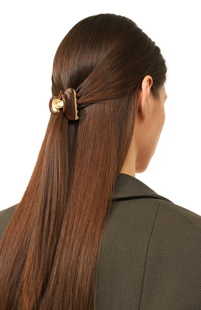 Заколка для волос ALEXANDRE DE PARIS, арт. ICC45-14339-02P23 OH, фото 2