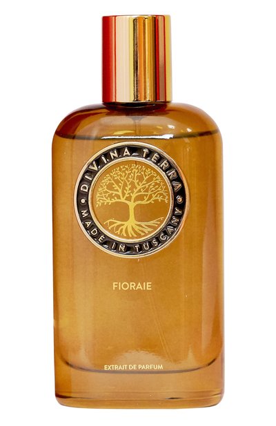 Мужской духи fioraie (100ml) DIVINA TERRA, арт. 8016741312588