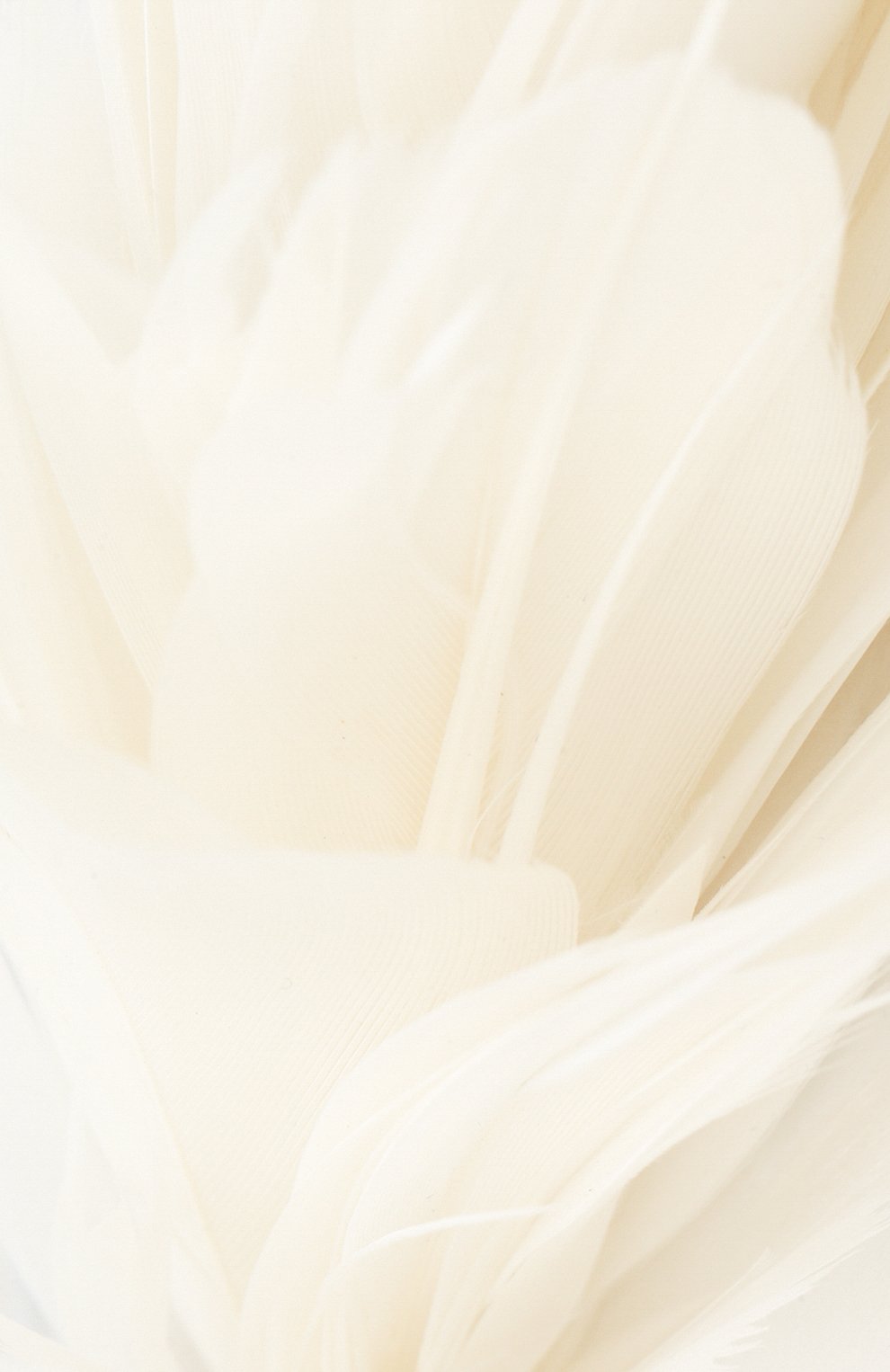 Ободок EIRENE, арт. H202102, фото 3