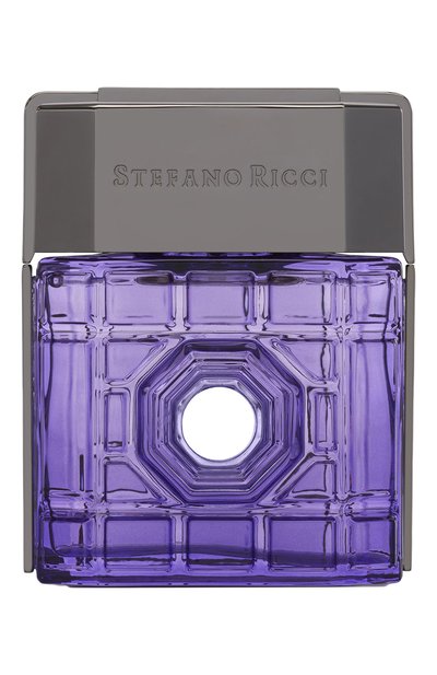 Мужской парфюмерная вода new york (100ml) STEFANO RICCI, арт. PM100CNY
