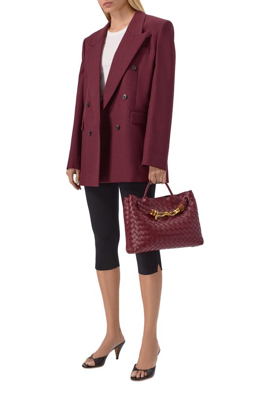 Сумка Andiamo medium Bottega Veneta 840841/V4SCC Бордовый  840841/V4SCC Фото 3