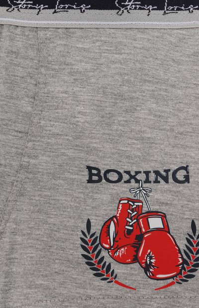 Хлопковые боксеры STORY LORIS, арт. 35498/8-16, фото 3