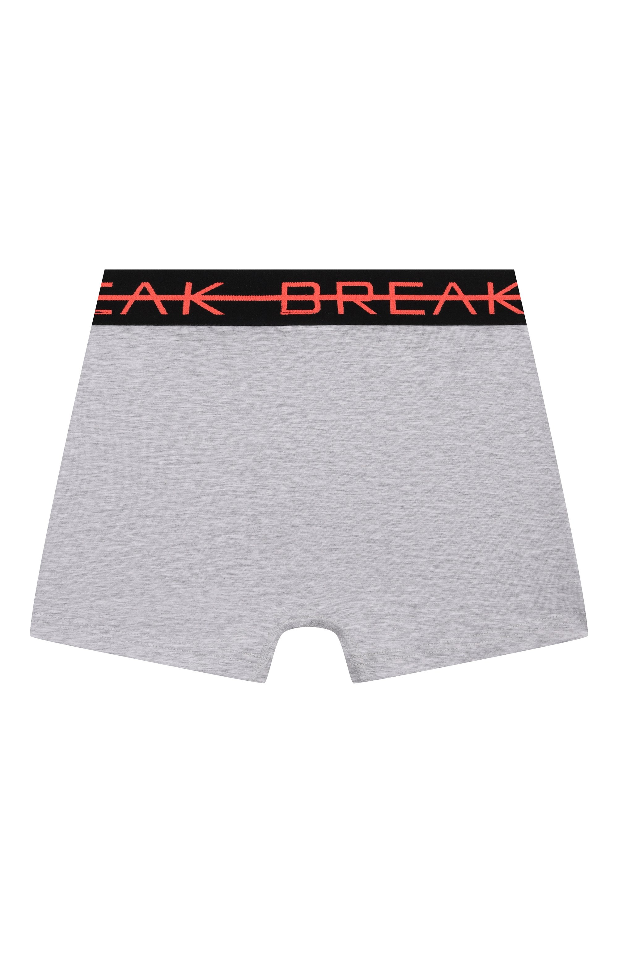 Трусы-боксеры SANETTA светло-серого цвета по цене 4125 руб., арт. 349110, фото 2 Трусы-боксеры SANETTA, арт. 349110, фото 2