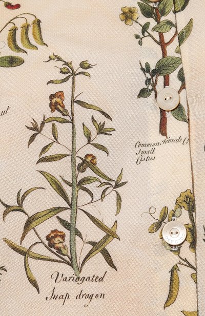 Блузка из кашемира и шелка COLOMBO, арт. CM00357/FSE, фото 5