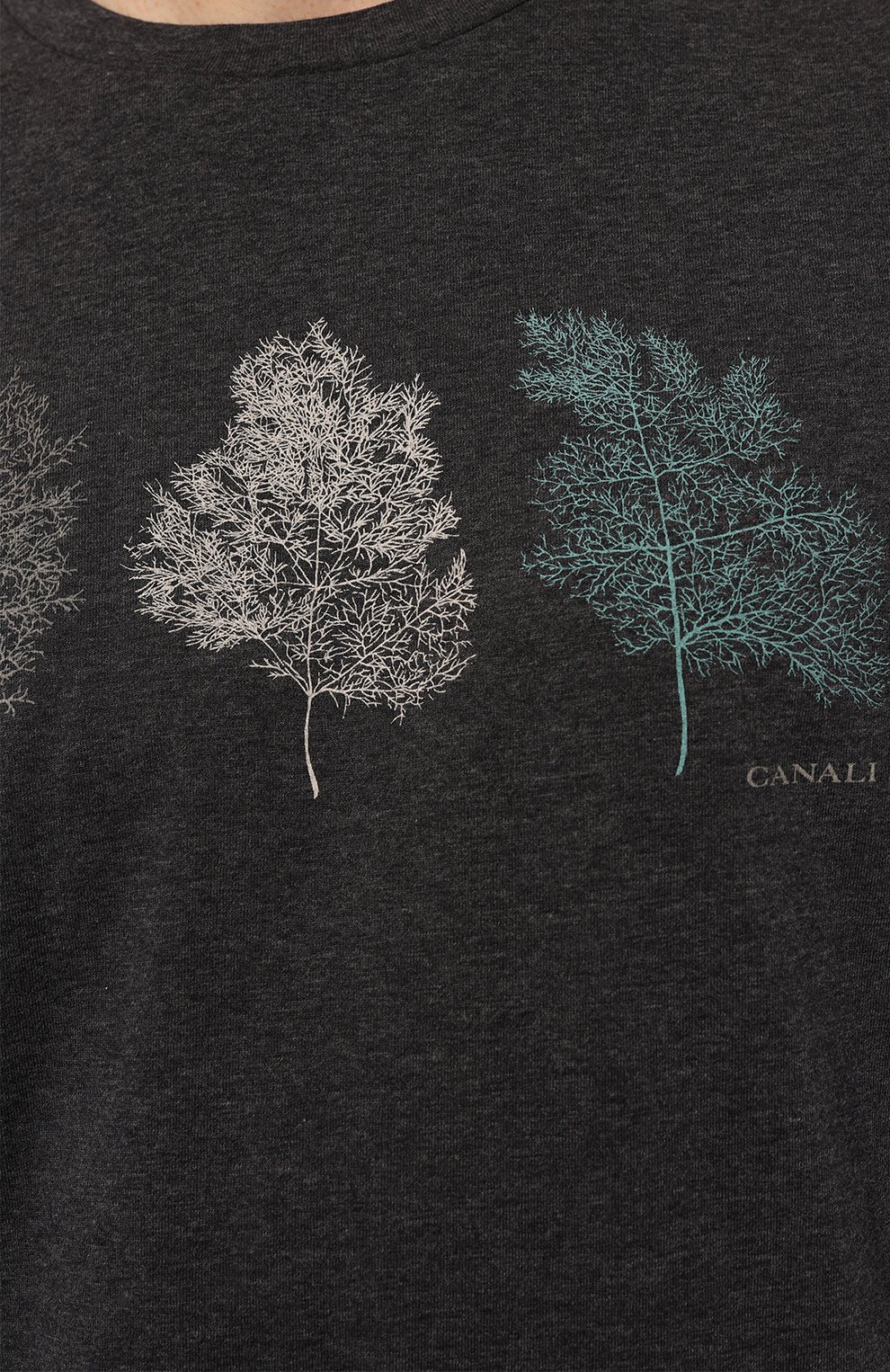 Хлопковая футболка CANALI, арт. T0003/MJ02131, фото 5