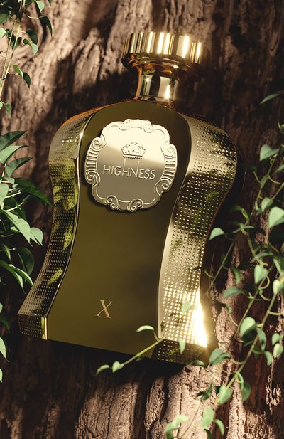 Парфюмерная вода highness x brown (100ml) AFNAN, арт. 6290171070177, фото 3