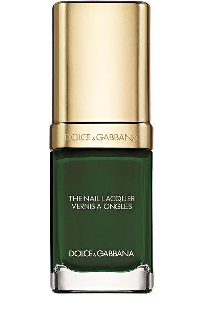 Женский лак для ногтей 725 wild green (10ml) DOLCE & GABBANA, арт. 0737052897288