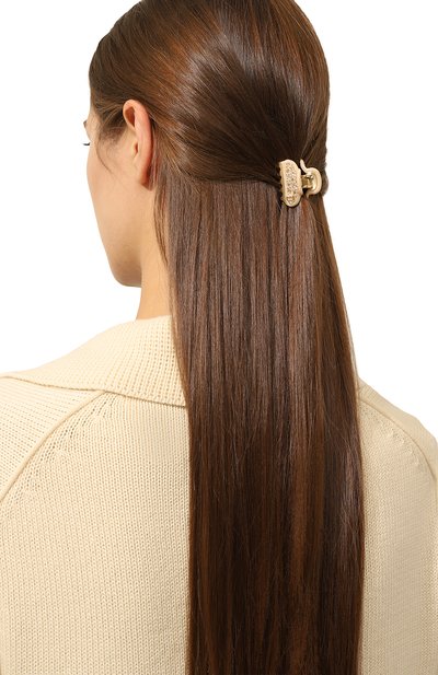 Заколка для волос ALEXANDRE DE PARIS, арт. ICCB-12831-06A23 OS, фото 2