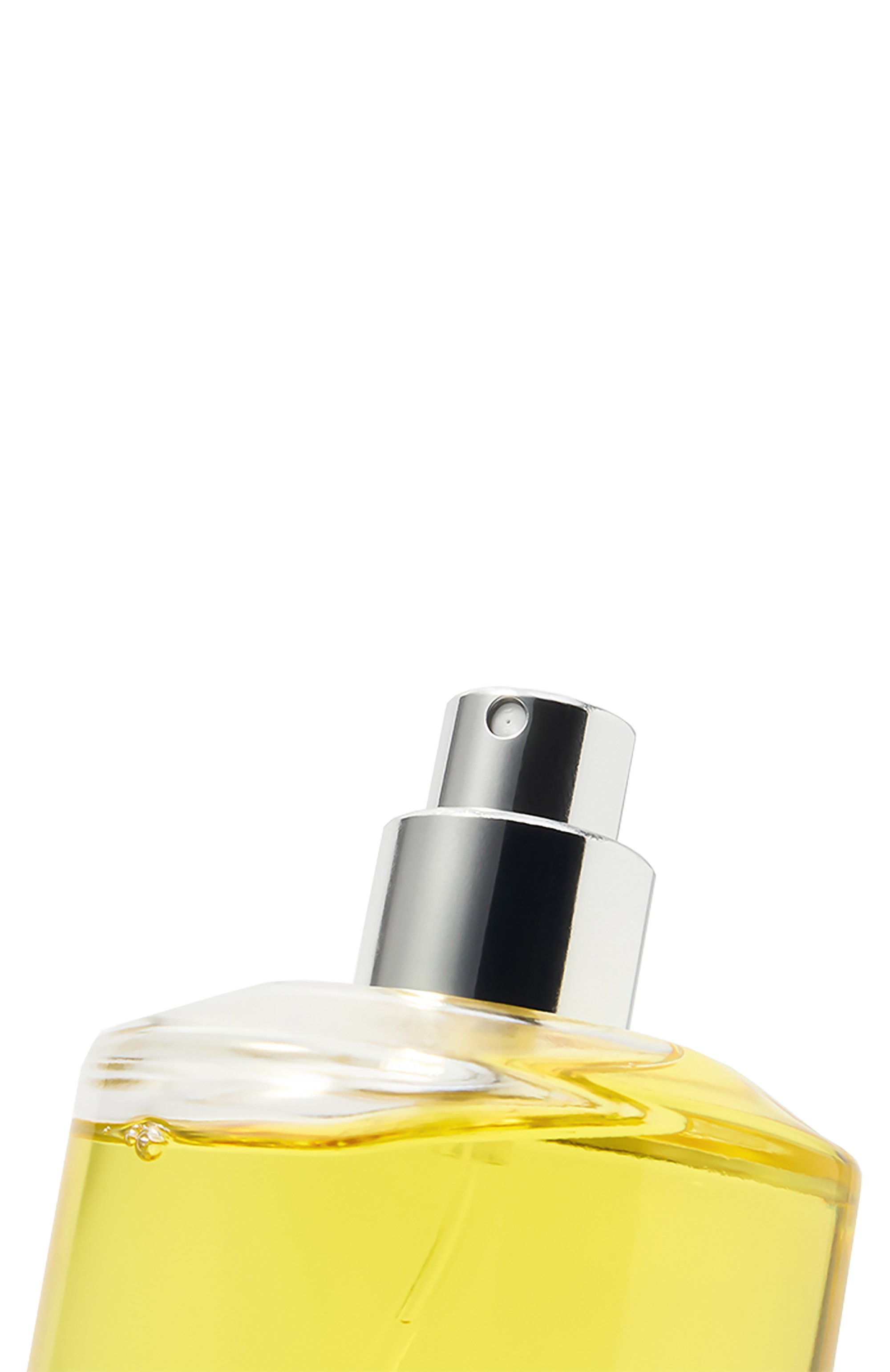 Парфюмерная вода lime sister (100ml) LIQUIDES IMAGINAIRES, арт. 3760303363406, фото 2