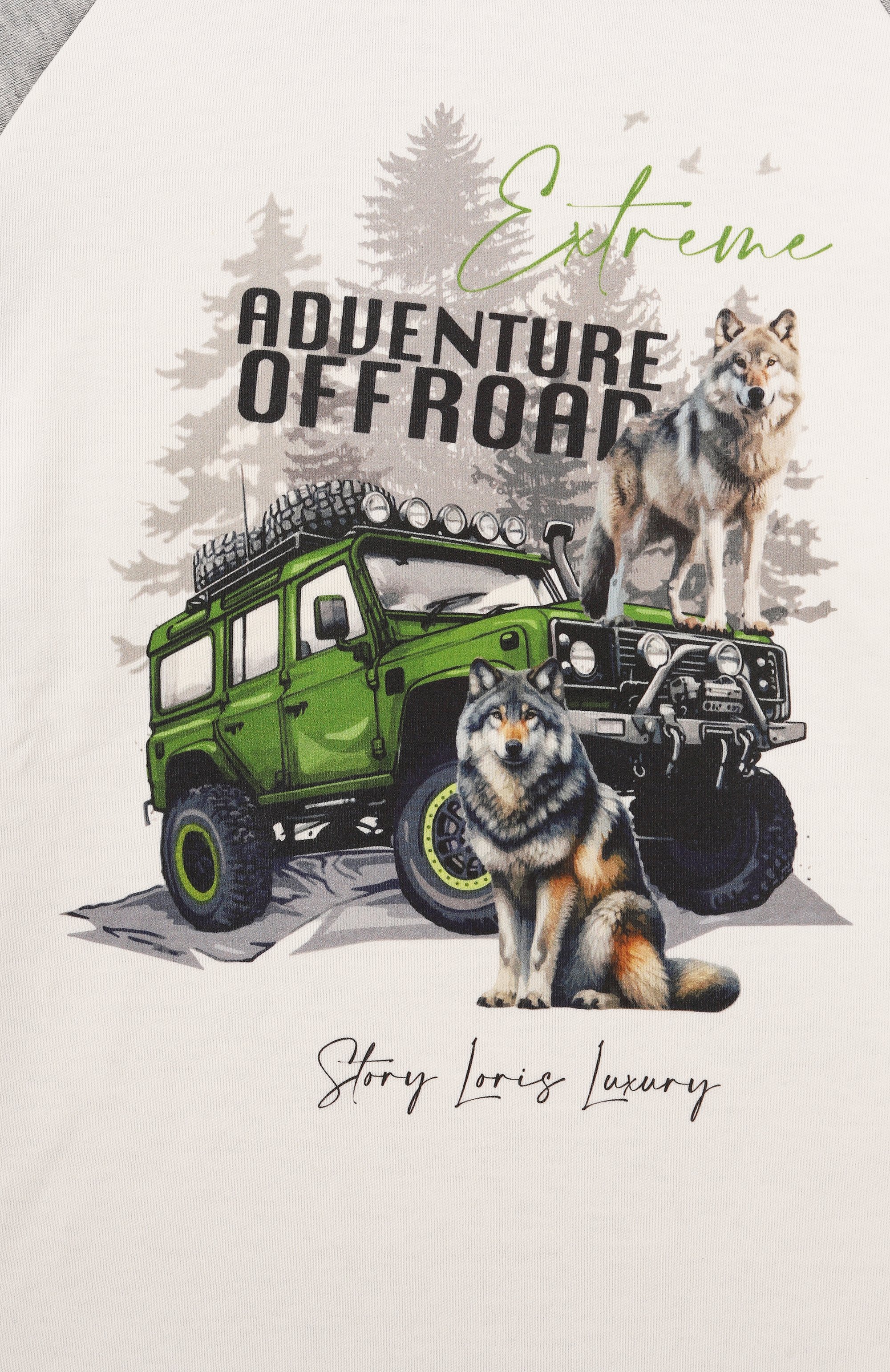 Хлопковая пижама STORY LORIS, арт. 35502/2-6, фото 4