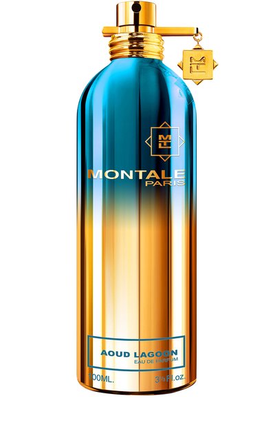 Парфюмерная вода aoud lagoon (100ml) MONTALE, арт. 3760260454223, фото 1