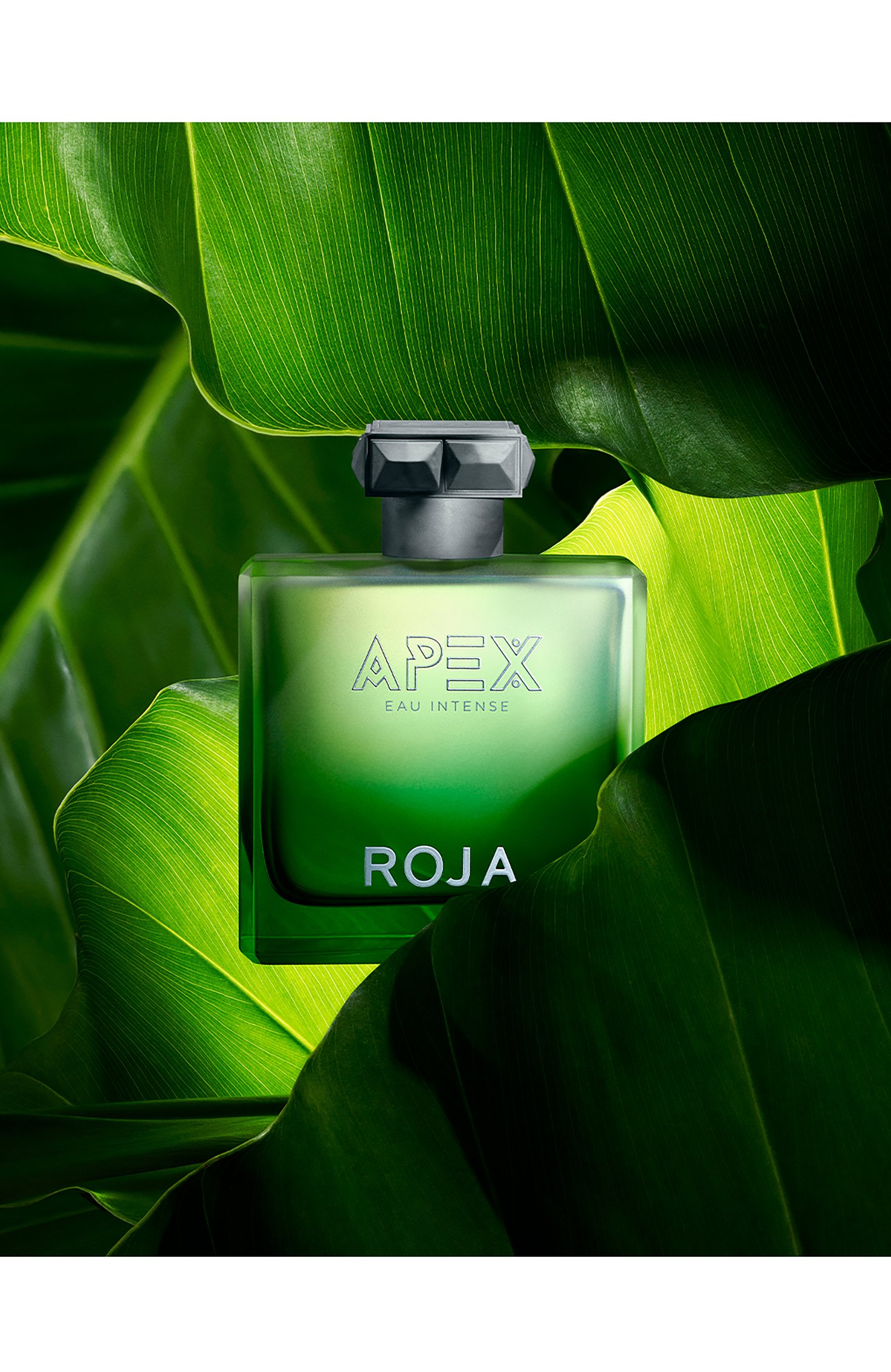 Парфюмерная вода apex eau intense (100ml) ROJA PARFUMS, арт. RD3045, фото 5