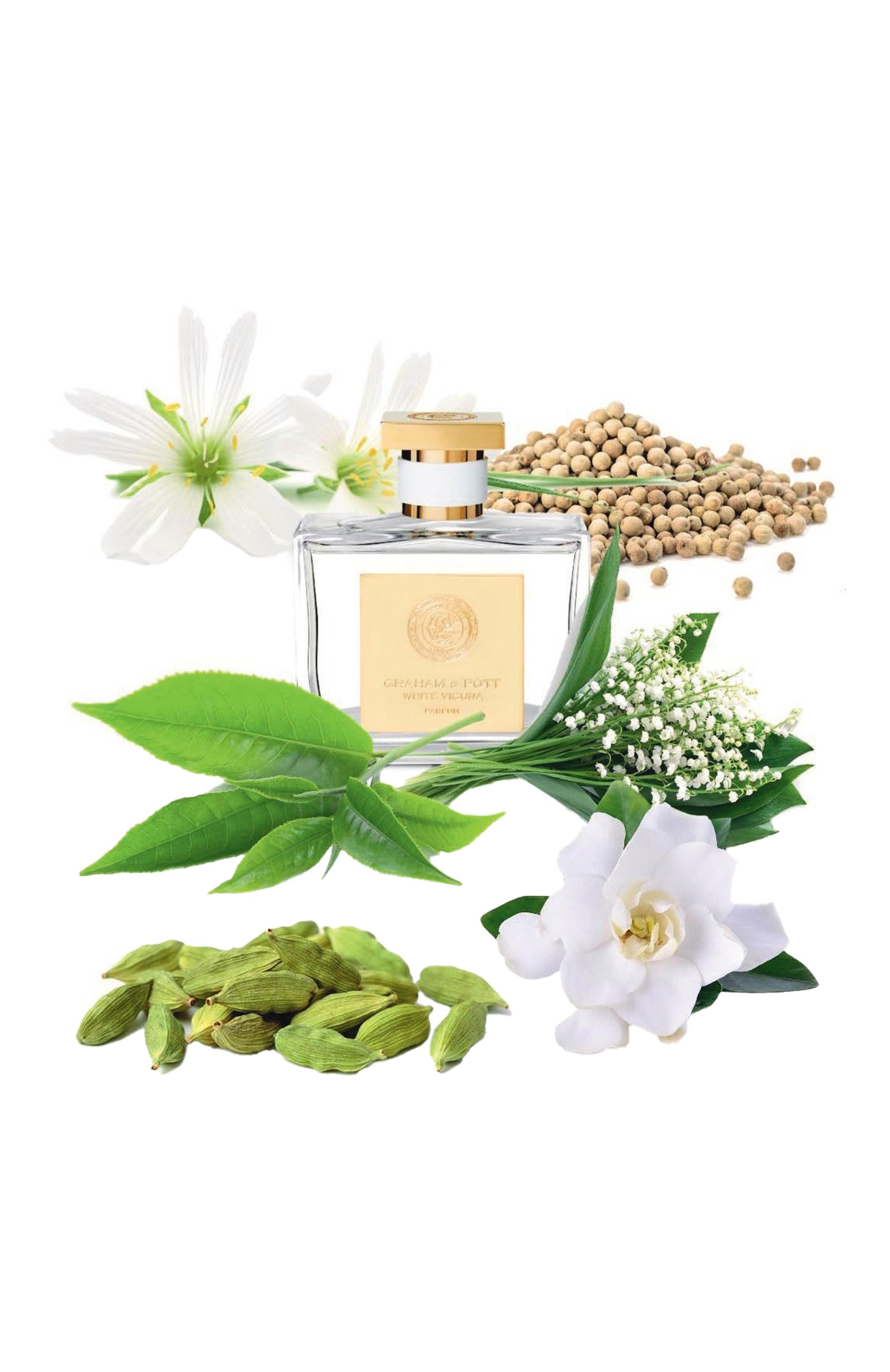 Духи white vicuna (100ml) GRAHAM AND POTT, арт. 5060729120033, фото 4