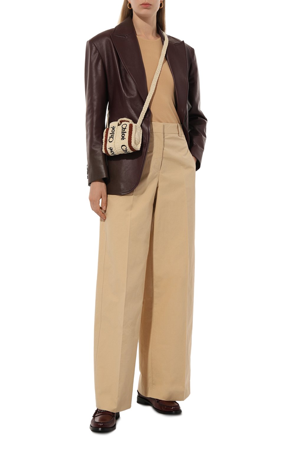 Сумка woody CHLOÉ, арт. CHC22AP235/I13, фото 7