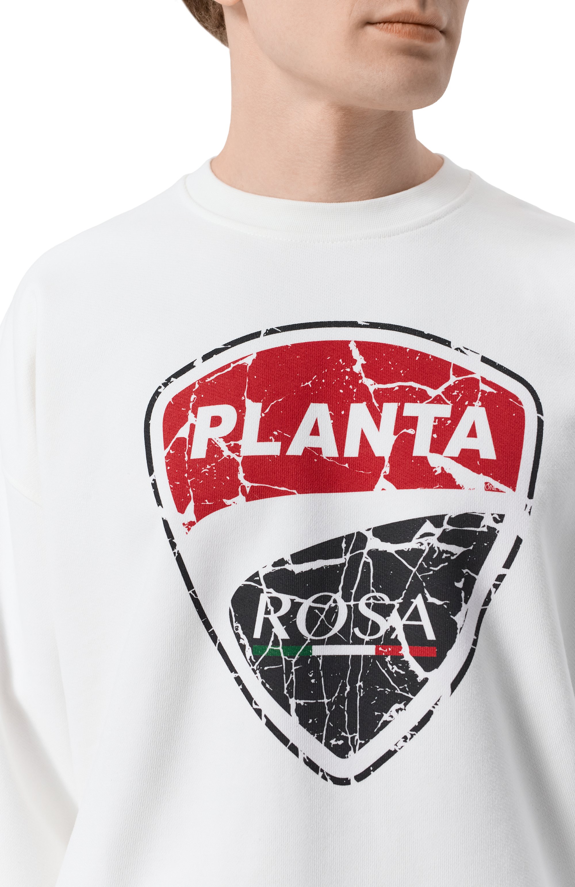 Хлопковый свитшот PLANTA ROSA, арт. PR/SW/RACE/470VELVET, фото 6