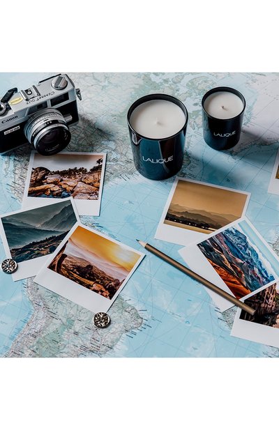 Свеча sandalwood india LALIQUE черного цвета по цене 11500 руб., арт. 10306700, фото 2 Свеча sandalwood india LALIQUE, арт. 10306700, фото 2