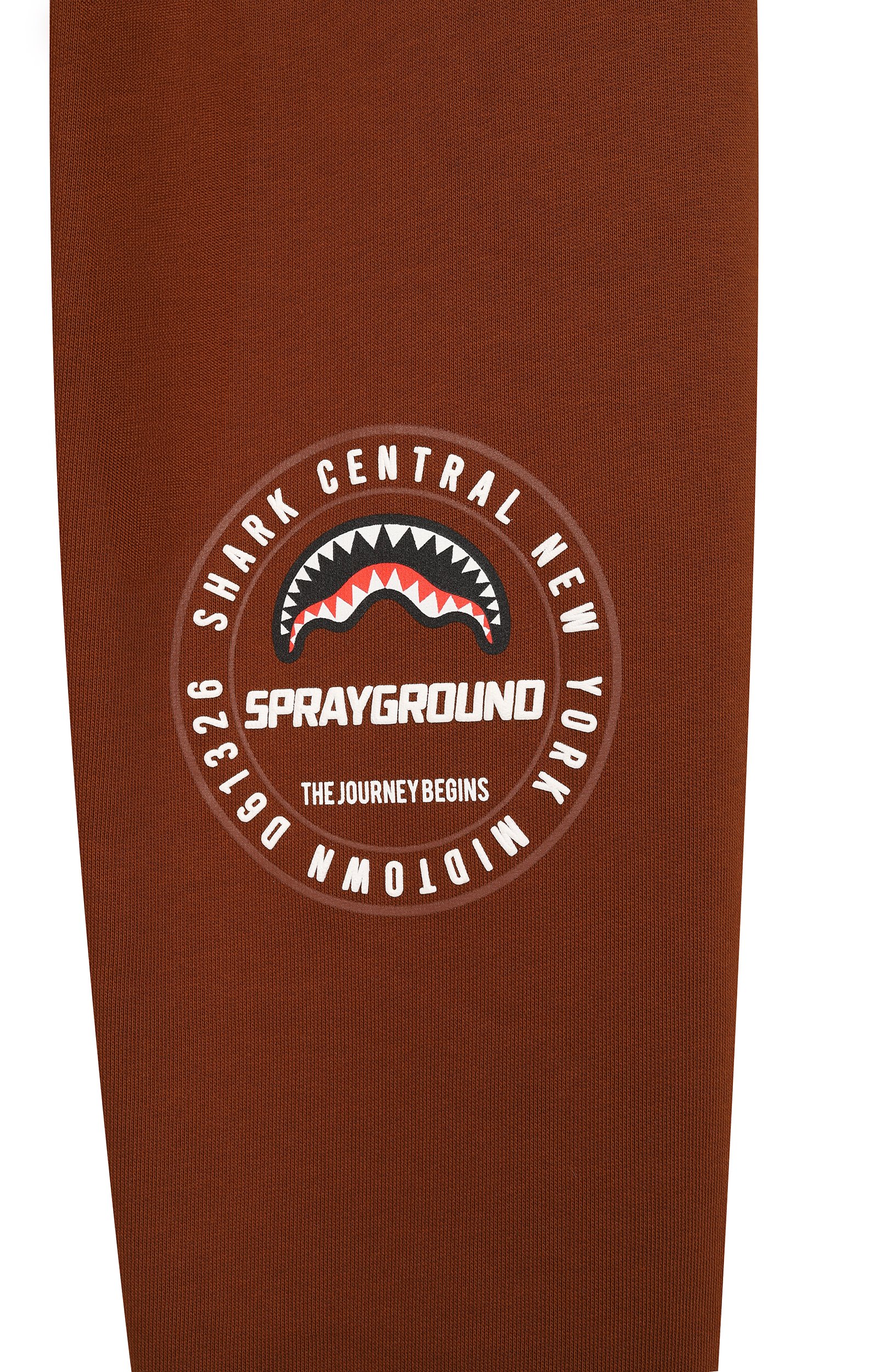 Хлопковые джоггеры SPRAYGROUND, арт. SPY1489GBRWN/SPRAYGR0UND BASIC BAGGY PANTS BRWN, фото 3