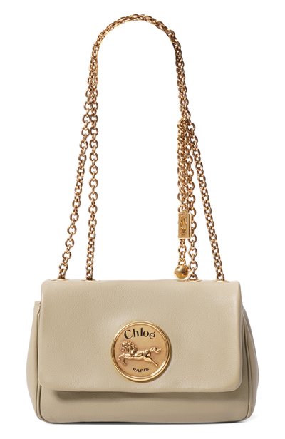 Женская сумка heritage CHLOÉ, арт. CH25AS585P75