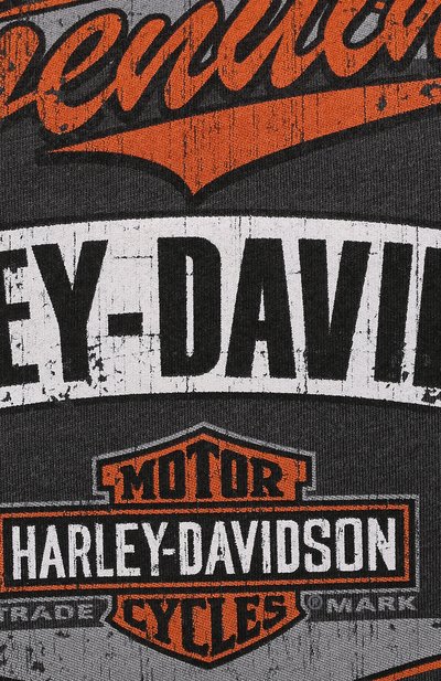 Майка exclusive for moscow HARLEY-DAVIDSON, арт. R004211, фото 5