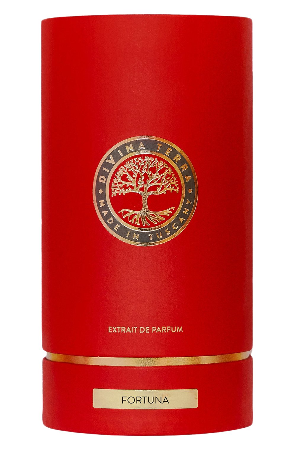 Духи fortuna (100ml) DIVINA TERRA, арт. 8016741342585, фото 2