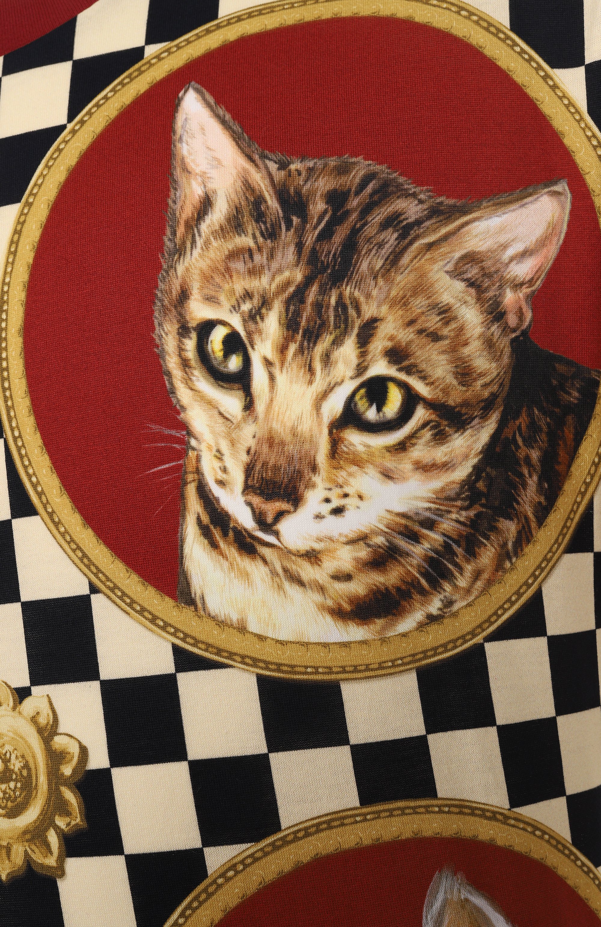 Хлопковая футболка DOLCE & GABBANA разноцветного цвета по цене 95050 руб., арт. G8RN8T/II7GZ, фото 6 Хлопковая футболка DOLCE & GABBANA, арт. G8RN8T/II7GZ, фото 6