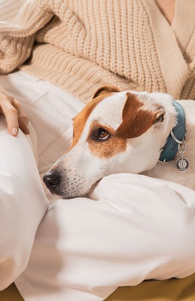 Медальон на ошейник royal jack CHRISTOFLE, арт. 05271000, фото 4