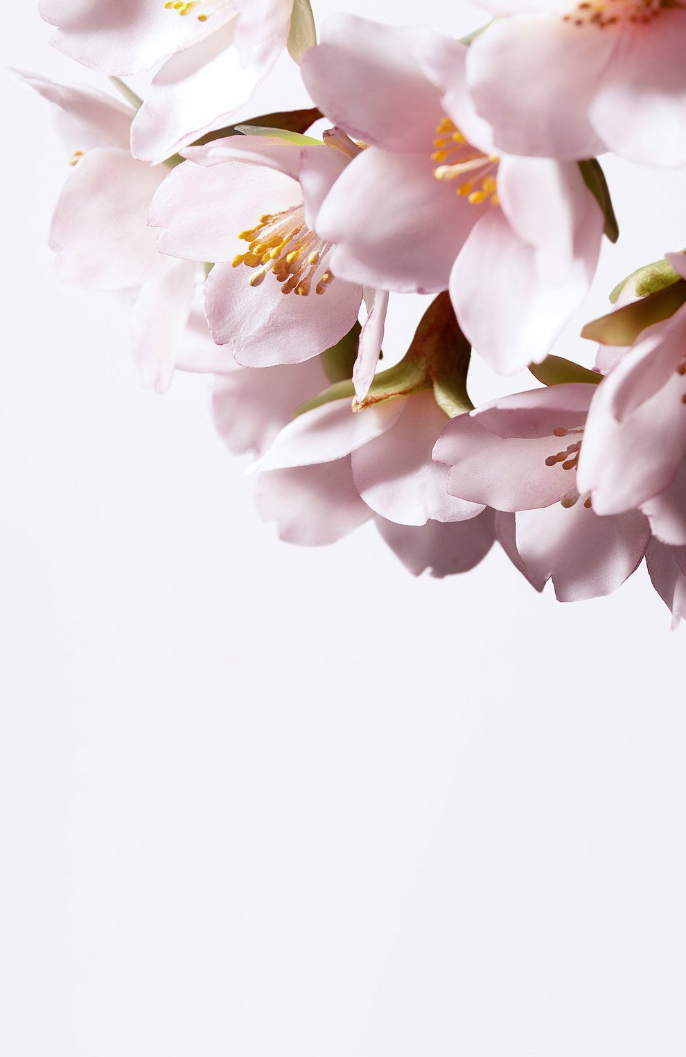 Осветляющая сыворотка против пигментных пятен (50ml) SHISEIDO, арт. 16044SH, фото 5