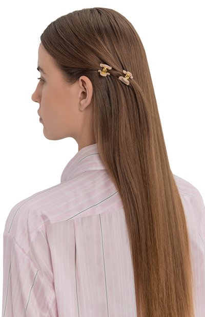 Комплект из двух заколок для волос ALEXANDRE DE PARIS, арт. ICCXS-14338-02 S5, фото 2