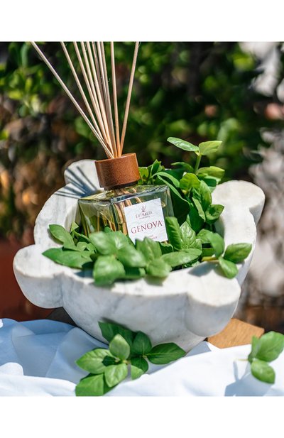 Диффузор genova (500ml) EUTHALIA FRAGRANCES, арт. 4603336950931, фото 3