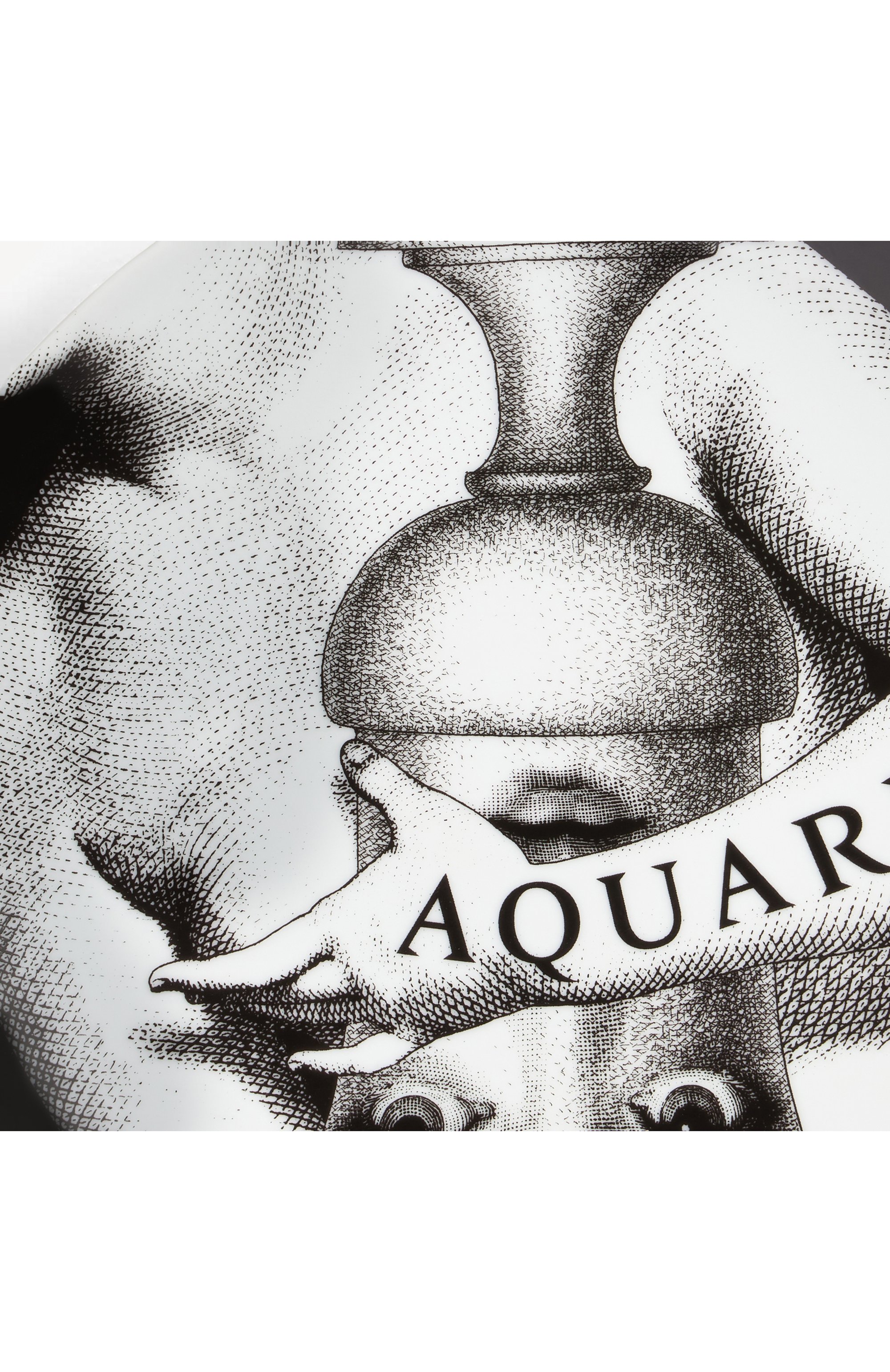 Декоративная тарелка tema e variazioni n.358 FORNASETTI, арт. PTV358X, фото 4