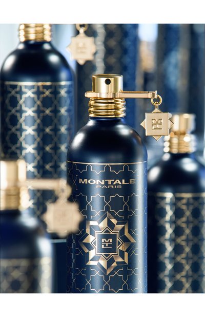 Парфюмерная вода infinity (100ml) MONTALE, арт. 3760260458689, фото 2