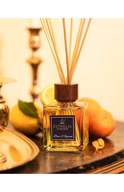 Диффузор plasir d`agrumes (100ml) EUTHALIA FRAGRANCES, арт. 4603336950177, фото 4