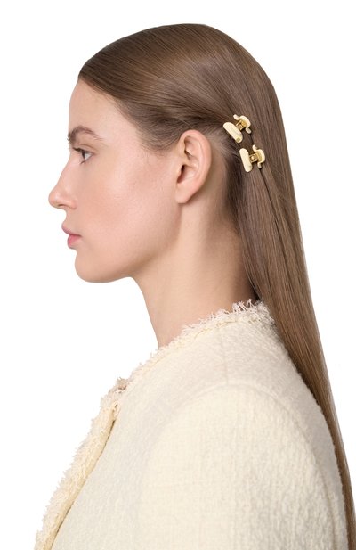 Комплект из двух заколок ALEXANDRE DE PARIS, арт. ICCXS-14338-02 I1, фото 2