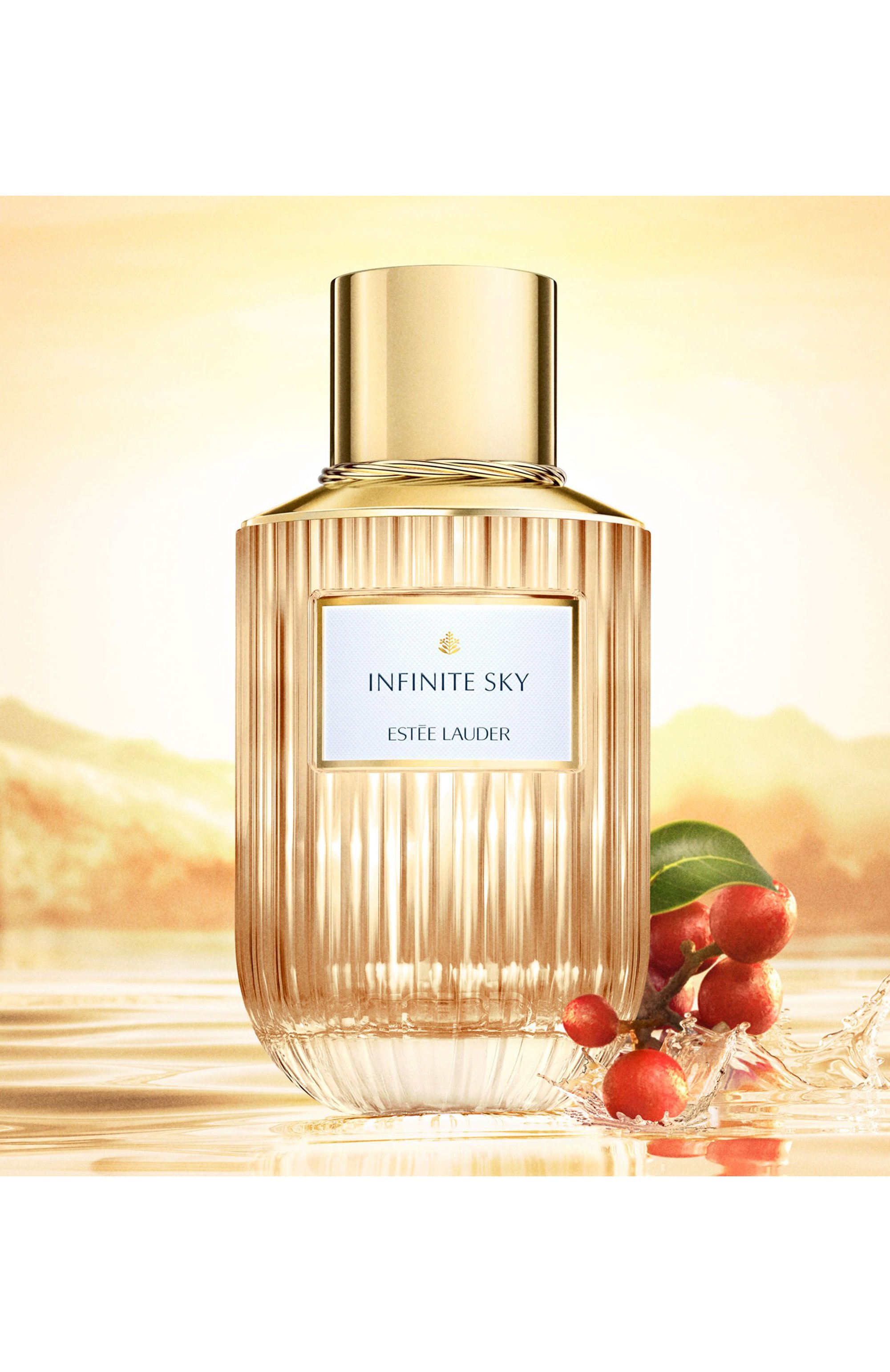 Парфюмерная вода infinite sky (40ml) ESTÉE LAUDER, арт. PTLK-01, фото 2