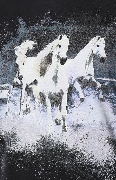 Футболка с принтом IRO, арт. WP19LIKE, фото 5