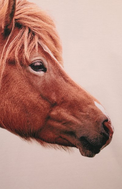 Хлопковый лонгслив MOLO, арт. 2W24J213., фото 3