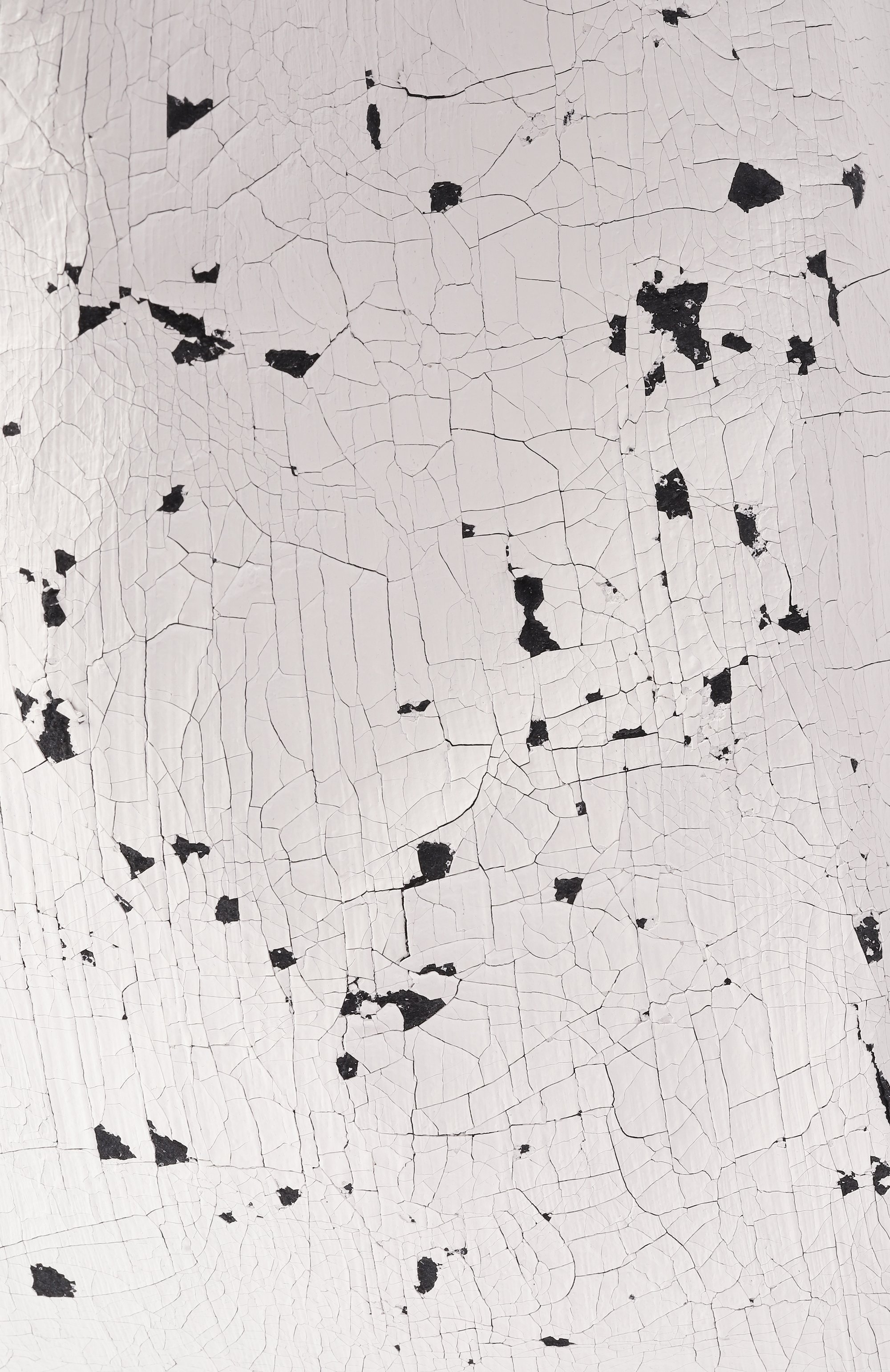 Сумка japanese classic medium MM6, арт. S54WD0039/P8333, фото 3