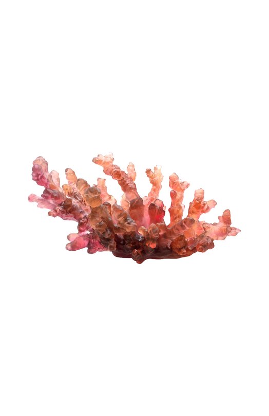 фото Блюдо для фруктов coral sea daum