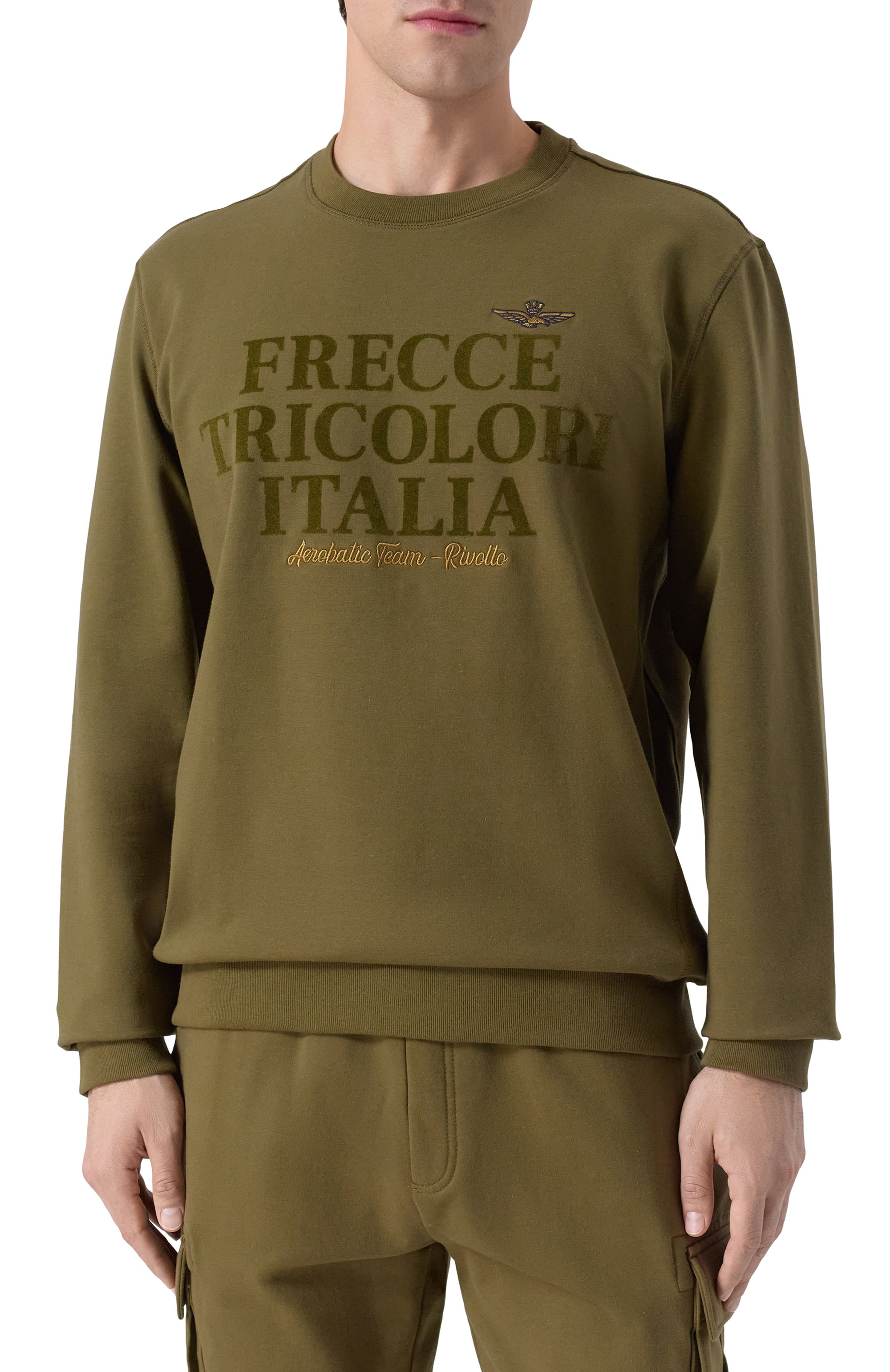 Хлопковый свитшот AERONAUTICA MILITARE, арт. FE2056UF00662, фото 3